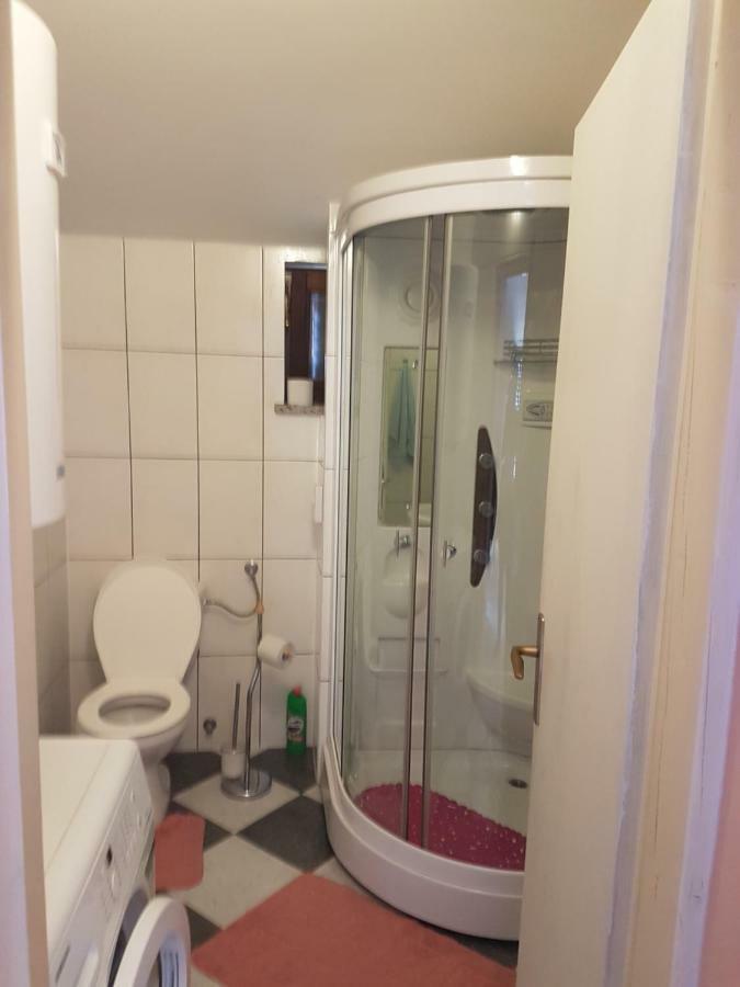 Апартаменты Apartman Vil Sveti Vid-Miholjice Экстерьер фото